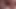 Büyük ayı başka bir Xbiz Miami otelinde piggy rose misyonerini sikiyor