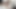 レズビアンのハードコアクリトリス、クリトリス同士、濡れたトリビング、シッソリング - KHALESSI69