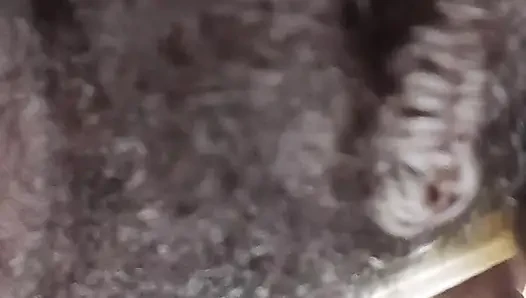 German fat hairy black pussy closeups