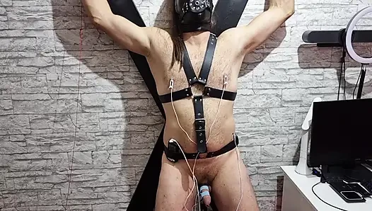 Electro Sounding Urethra Stretch - Kontol Berdenyut di Bondage Agony