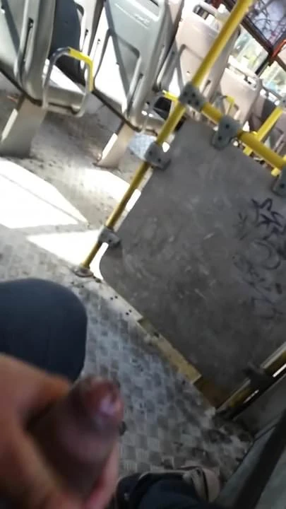 Un dia de calentura en el bus