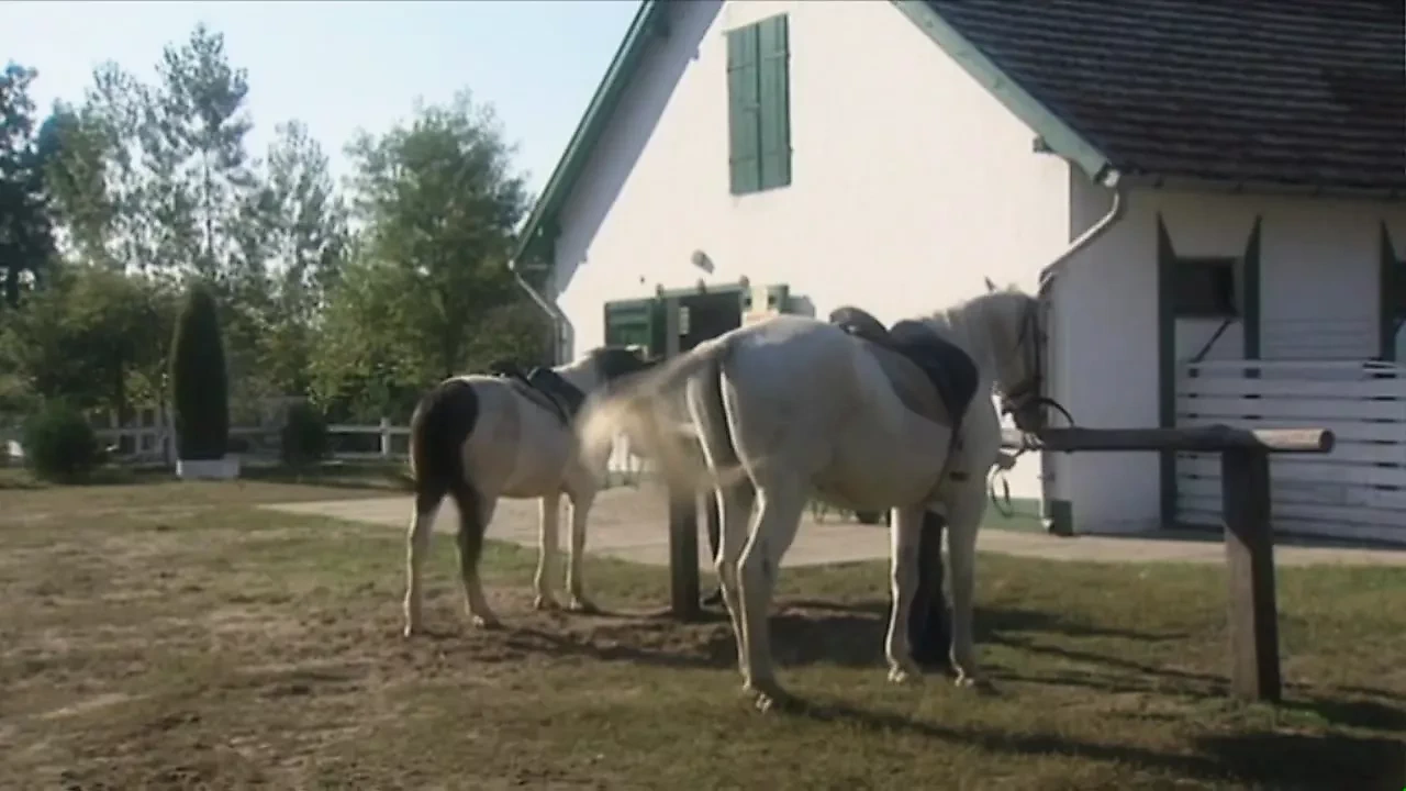 双渗透派对（整部电影）