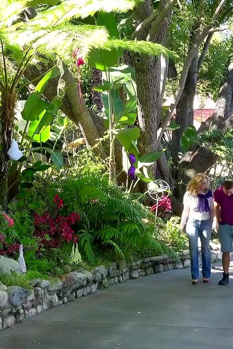 Digitalplayground - Eva Karera castiga jovens vizinhos fazendo-os tirar a roupa e adorar sua buceta antes de um duplo