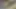 Azgın üvey kardeşler danna ve tommy ile en iyi ev yapımı seks - ispanyolca porno