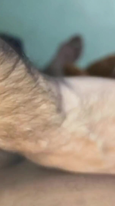 Young indian villager bottom boy fucked by his old black male gay friend | Clip 1