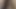家で楽しんで