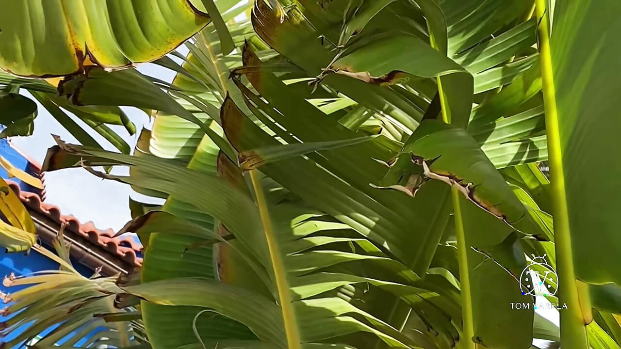 Holidays in Maspalomas
