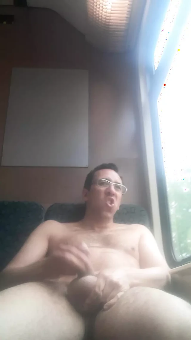 Wanking in public on the train