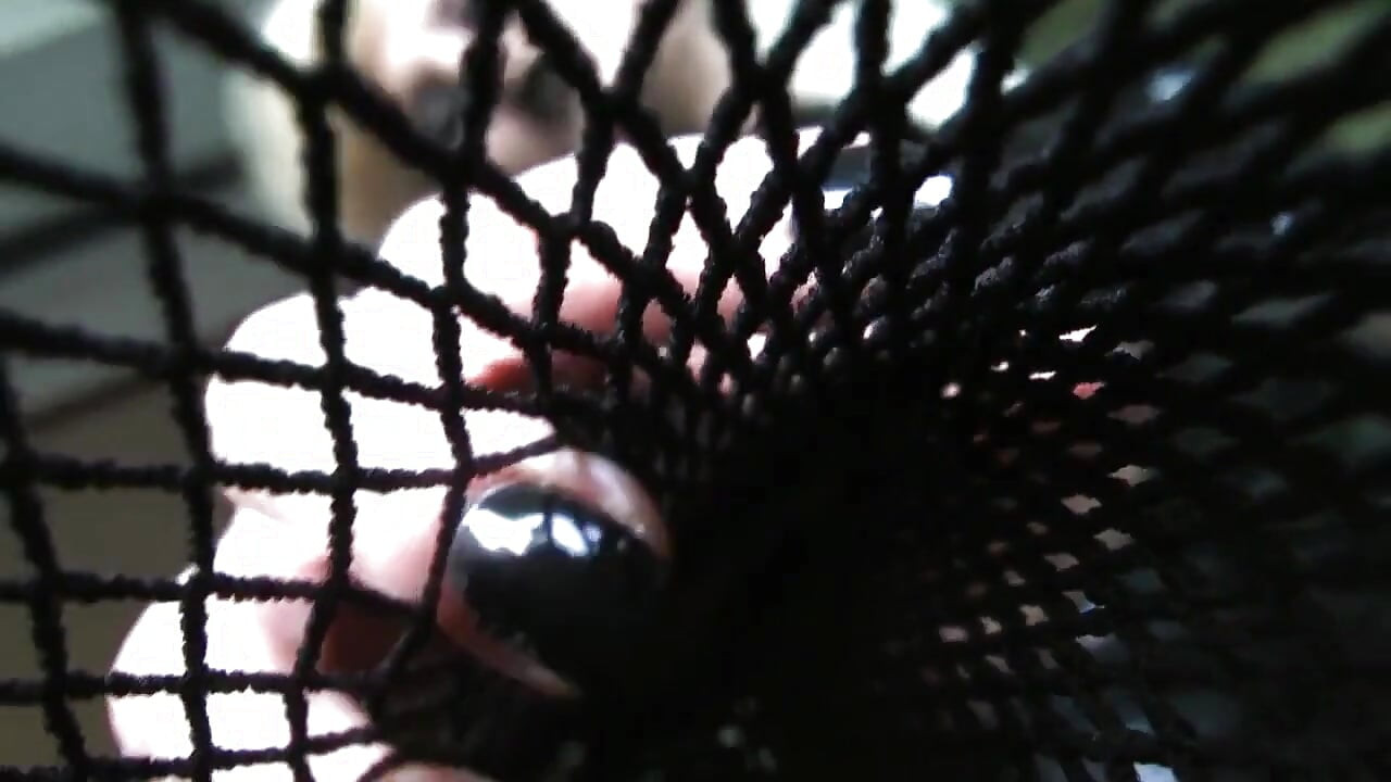 Trapped inside my spider web