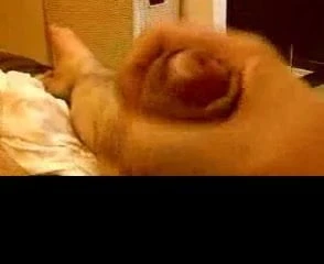 Me Jerking off