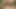 Hintli kadın devar açık havada halka açık alanda seks videosu