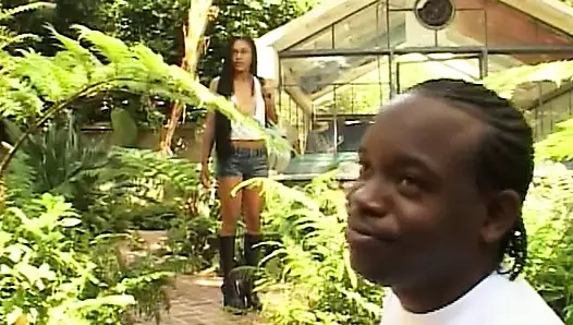 Heißer Ebony-Sex auf dem Sofa