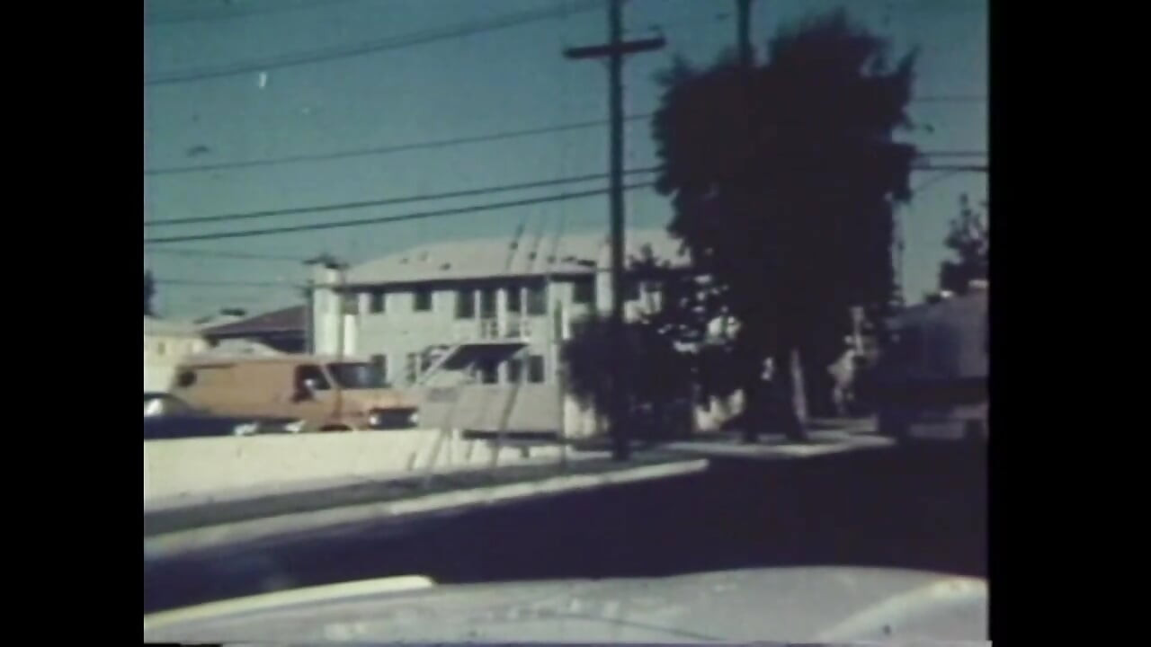 Η γλώσσα των χοίρων