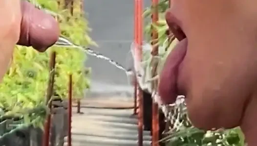 Piss Loving Princess Cum Crave Queen, Shorties Compilation