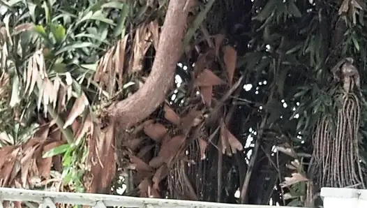 Dai Belan und ich, fast nackt, wie wir den Balkon der Wohnung waschen und die Nachbarn beobachteten uns