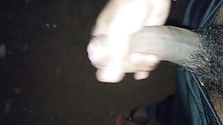 Desi-jongen masturbeert laat op de avond buitenshuis