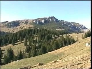 The Secret Forest Porn Videos | xHamster