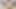 Amber hahn kirli konuşma web kamerası joi - 2019