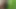 Sub daddy masturbating in the woods