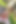 屋外裏庭でのストリップティーズとフィンガリング