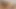 Pasangan sange saling muasin memek satu sama lain dengan pantat bahenol jessijek