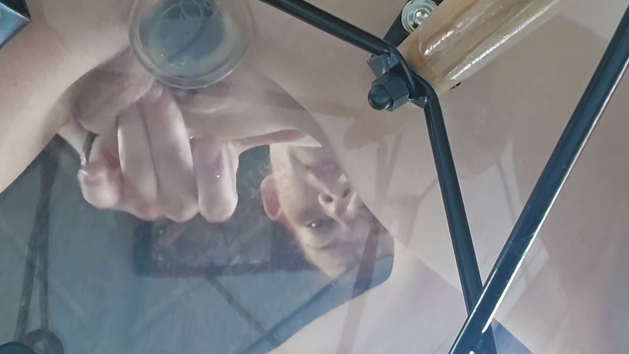Close up translucent dildo fucking