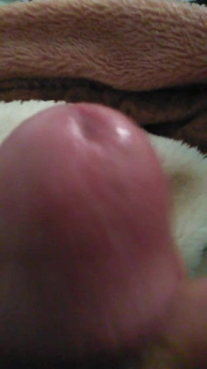 Zebbbbbbbi