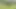 I Take My Rich Pregnant Honeymoon Girlfriend to a Campsite and End up Shoving My Rich, Huge Cock up Her Narrow Ass.