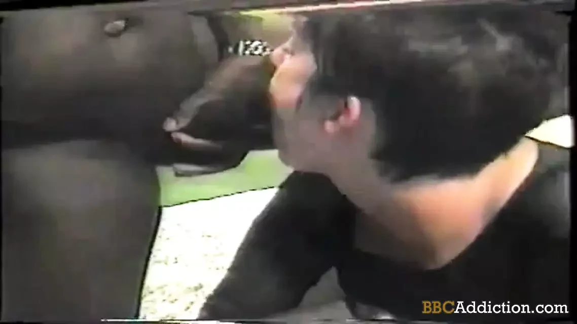 BBC Addiction Vintage cuckold wife sucking BBC