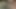 Gesichtsfick und Gesichtsbesamung