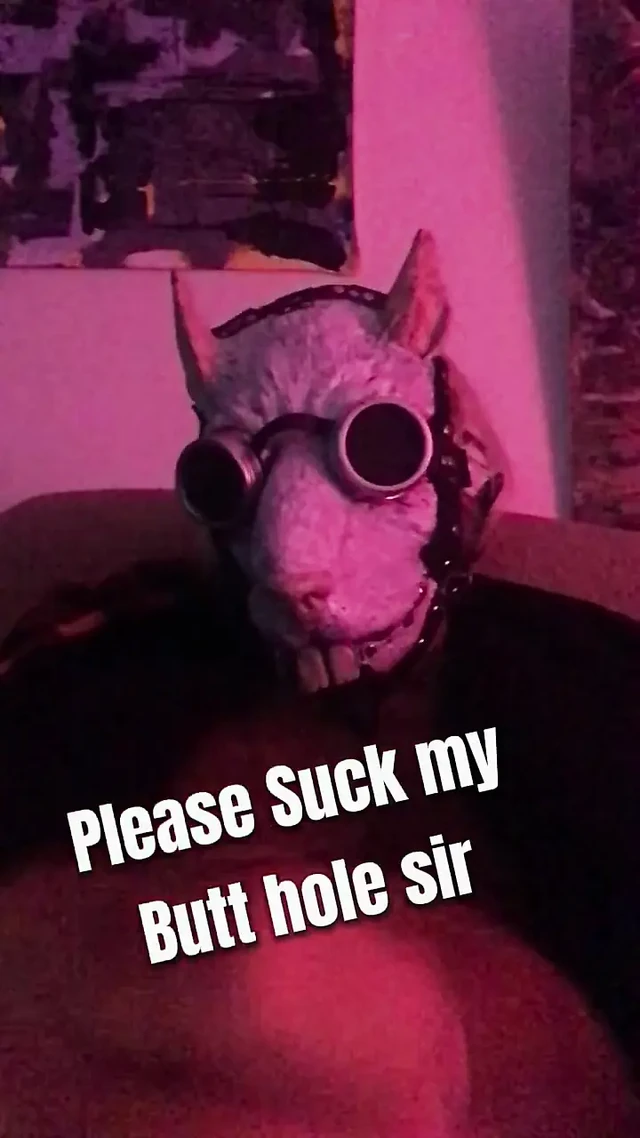 Please suck in my butt hole sir