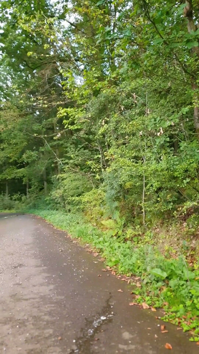 Peeing and licking | Clip 1