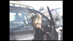 Pregled videozapisa