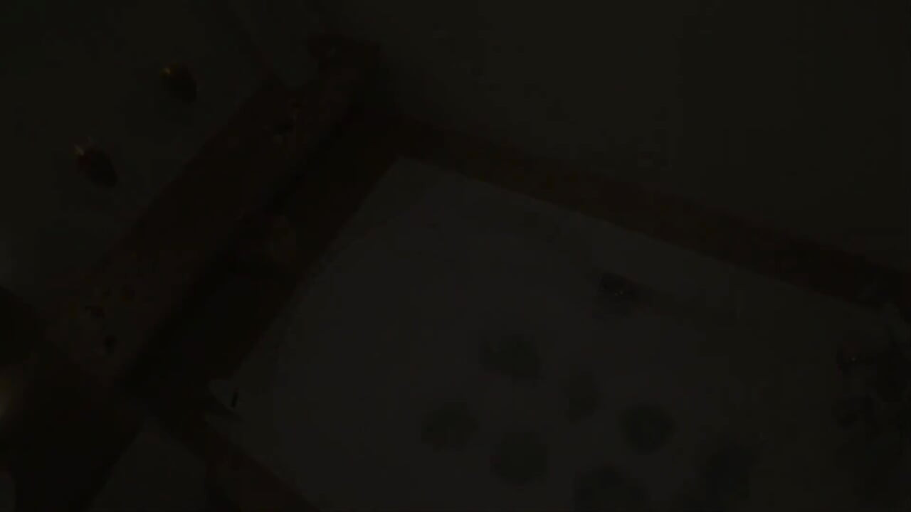 Touch the Body HD: Romantic Soapy Massage: Part 4