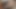 Yeni Hintli çift bdsm sert sikişiyor