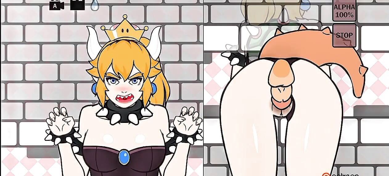Help Bowser