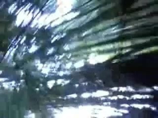 ثلاثي هاوي 310