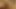 Sweet party chick sucking many cocks taking cumshot