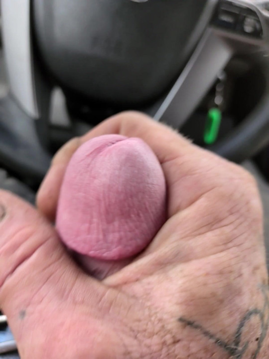 Plaisir en plein air dans la voiture.