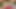 I Seduced a Stranger in the Forest and He Fucked Me in All My Holes - POV