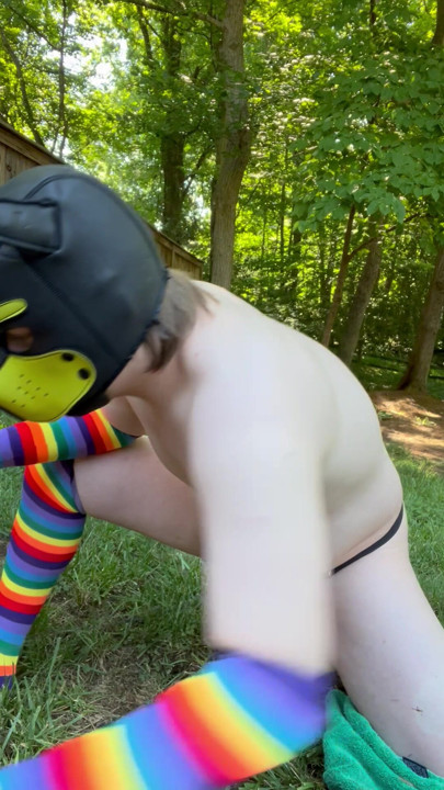 Puppy pissing in its cage outside