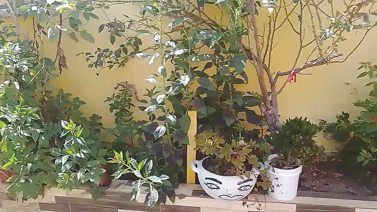 Descobriu O Segredo Da Sua Cliente E Fodeu Ela!
