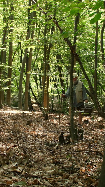 Un vieux fait plaisir à une blonde fraîche dans la nature