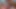 Bareback Creampie by The Triabl Chief onlyfans alexiakessek1