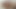 My Girlfriend's Tattooed Slut Sucking My Big Dick