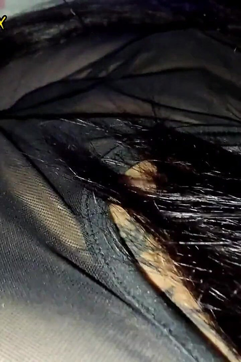 Probando dulces pero versehentliche Probe un pene alisongonzalez26