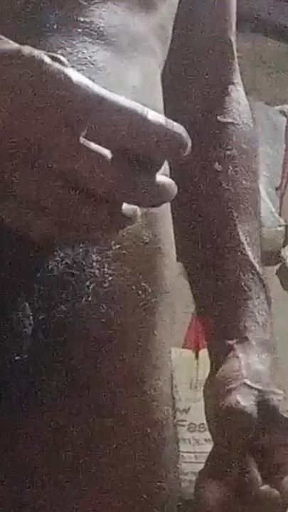 Emotivni trenutak iz "Bhabhi ki chudai 9 inch land se"