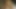 プロのマッサージ師に脱がせて、結局毛深い膣に射精してしまいました
