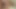 Die biracial bBW sara wilson reitet einen dicken schwanz in reverse cowgirl
