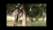 Video pregled